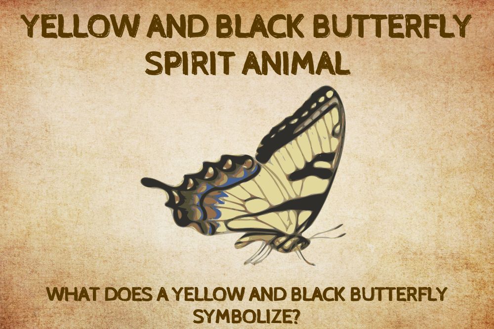 Yellow and Black Butterfly Spirit Animal