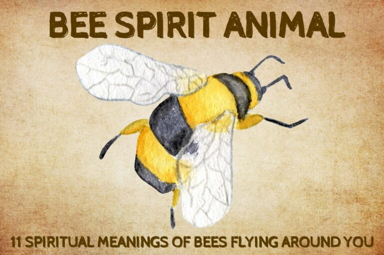 11 Spiritual Meanings of Bees Flying Around You