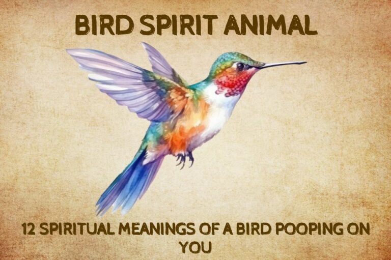 12 Spiritual Meanings Of A Bird Pooping On You