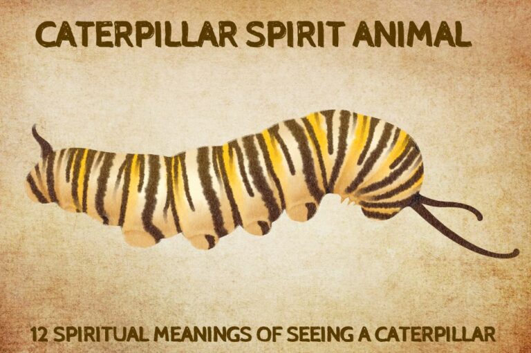 12 Spiritual Meanings of Seeing A Caterpillar