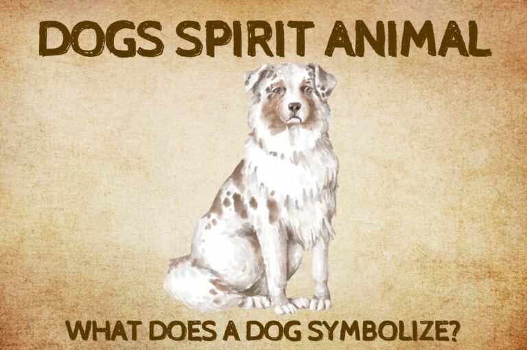 Dog Spirit Animal: What Does a Dog Symbolize?