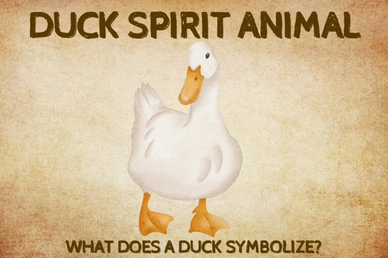 Duck Spirit Animal: What Does a Duck Symbolize?