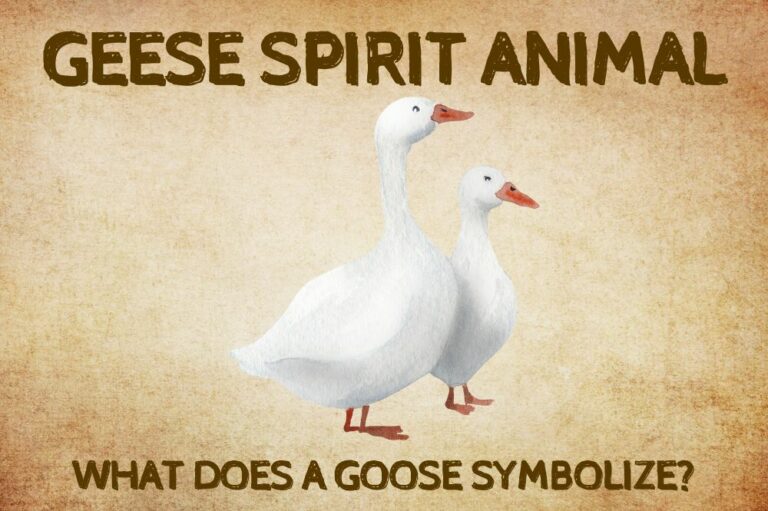 Geese Spirit Animal: What Does a Geese Symbolize?
