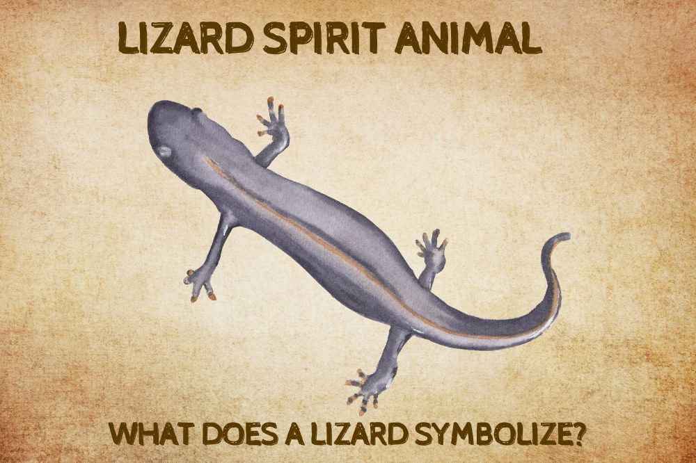Lizard Spirit Animal What Does a Lizard Symbolize