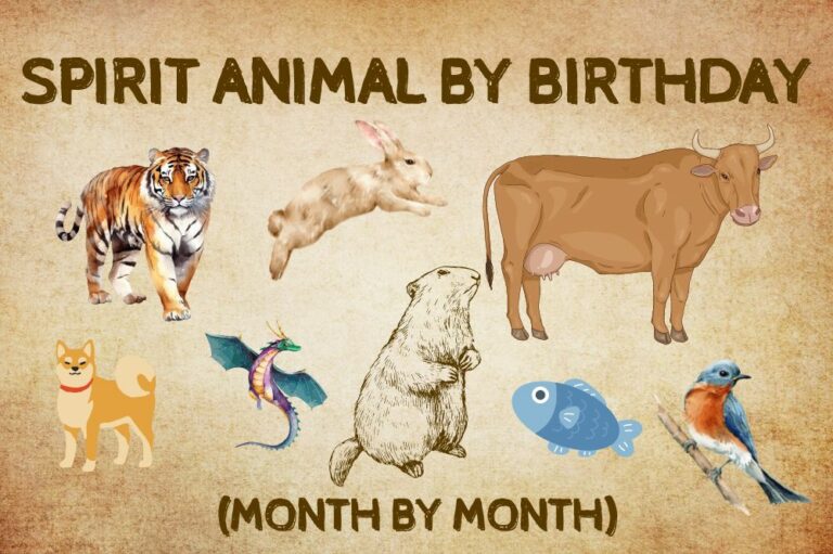 How to Identify Your Spirit Animal by Birthday? (Month by Month)