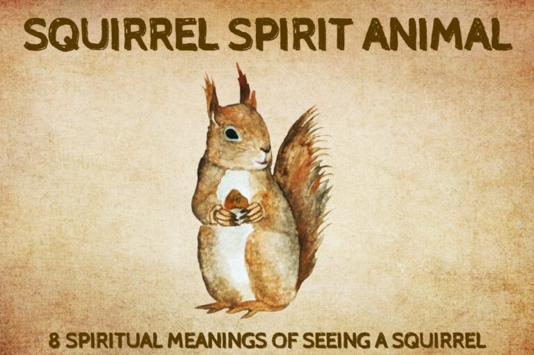 8 Spiritual Meanings Of Seeing a Squirrel