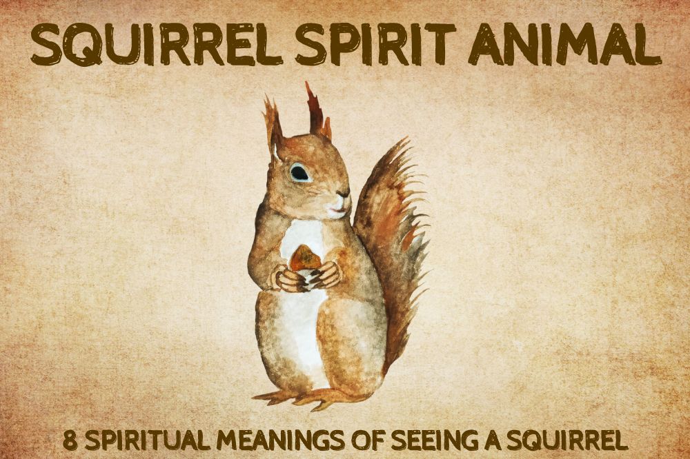 Spiritual Meanings Of Seeing a Squirre