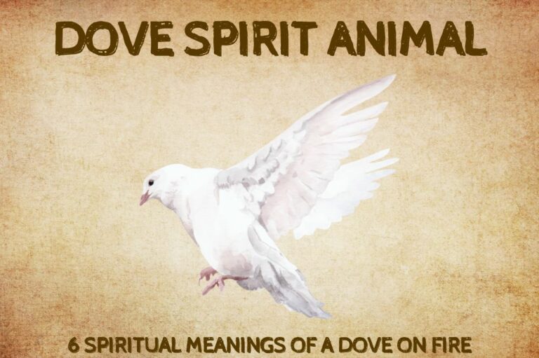 6 Spiritual Meanings Of a Dove On Fire