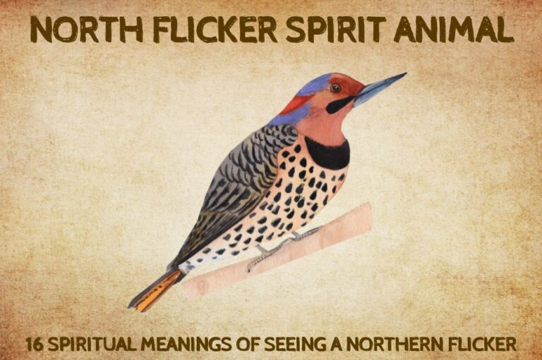 16 Spiritual Meanings of Seeing a Northern Flicker