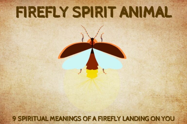 9 Spiritual Meanings of a Firefly Landing On You