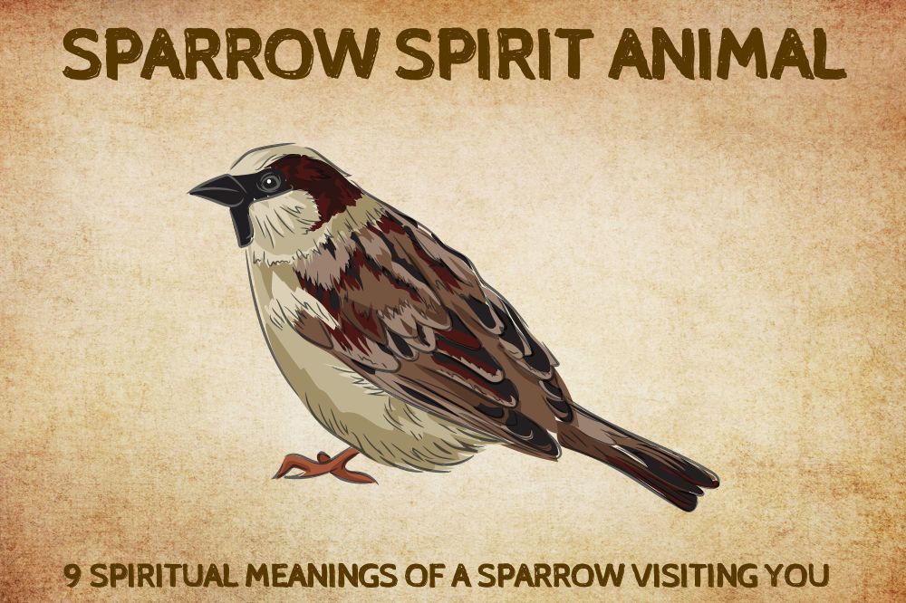Spiritual Meanings of a Sparrow Visiting You