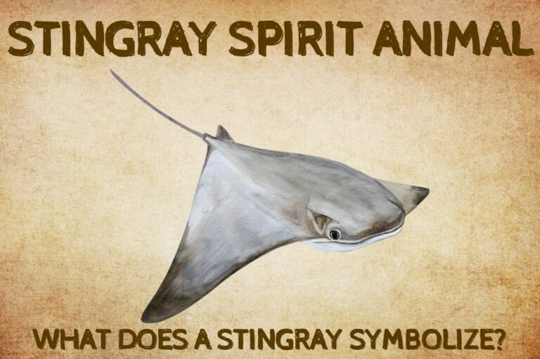 Stingray Spirit Animal: What Does a Stingray Symbolize?