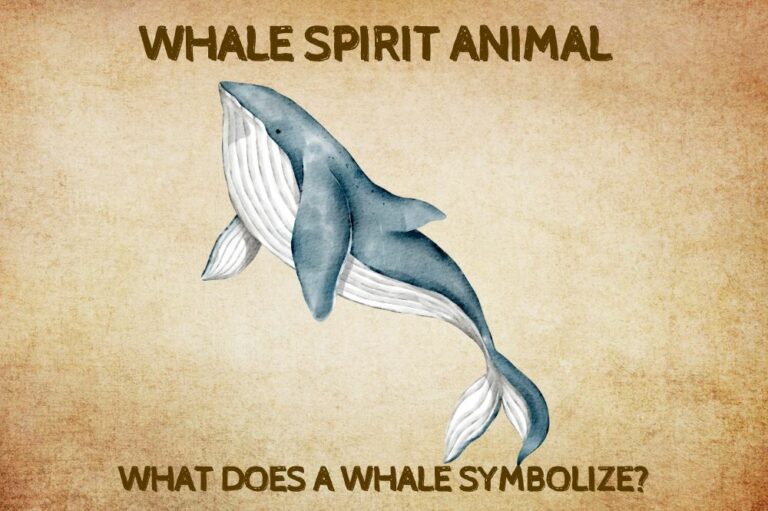 Whale Spirit Animal: What Does a Whale Symbolize?